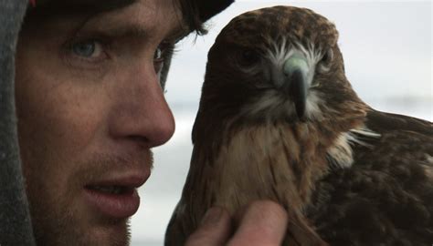 Review: ‘Aloft’ Trains an Eagle Eye on Human Misery.